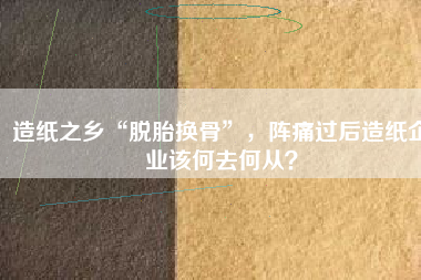 造紙之鄉(xiāng)“脫胎換骨”，陣痛過(guò)后造紙企業(yè)該何去何從？