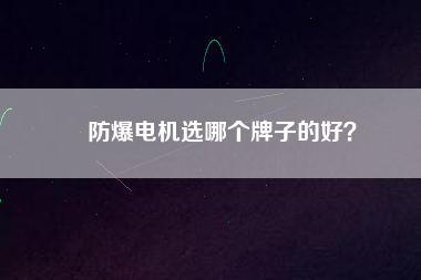 防爆電機選哪個牌子的好？