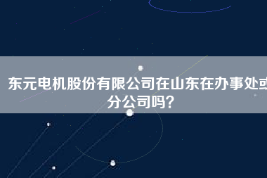 東元電機股份有限公司在山東在辦事處或分公司嗎？