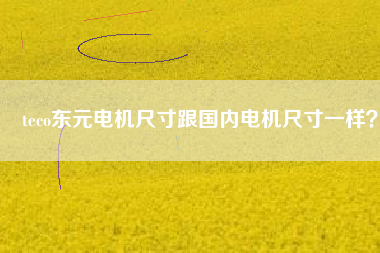 teco東元電機(jī)尺寸跟國內(nèi)電機(jī)尺寸一樣？