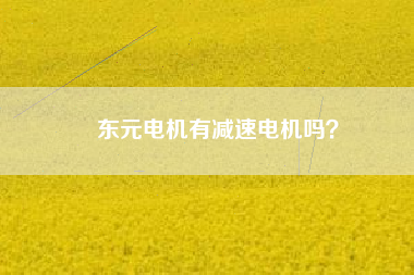 東元電機(jī)有減速電機(jī)嗎？