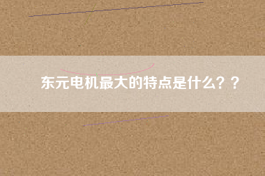 東元電機(jī)最大的特點(diǎn)是什么？？