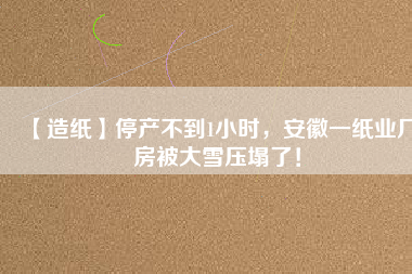 【造紙】停產(chǎn)不到1小時，安徽一紙業(yè)廠房被大雪壓塌了！