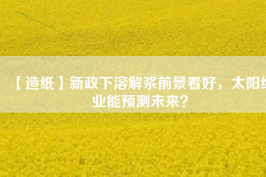 【造紙】新政下溶解漿前景看好，太陽紙業(yè)能預(yù)測未來？