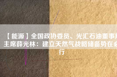 【能源】全國政協(xié)委員、光匯石油董事局主席薛光林：建立天然氣戰(zhàn)略儲備勢在必行