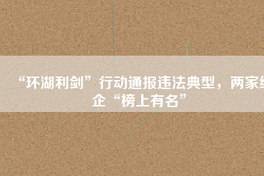 “環(huán)湖利劍”行動通報違法典型，兩家紙企“榜上有名”