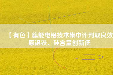 【有色】旗能電鋁技術(shù)集中評(píng)判取良效 原鋁鐵、硅含量創(chuàng)新低