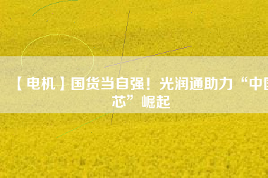 【電機(jī)】國(guó)貨當(dāng)自強(qiáng)！光潤(rùn)通助力“中國(guó)芯”崛起
          