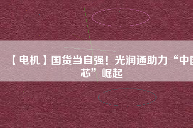 【電機(jī)】國(guó)貨當(dāng)自強(qiáng)！光潤(rùn)通助力“中國(guó)芯”崛起
          