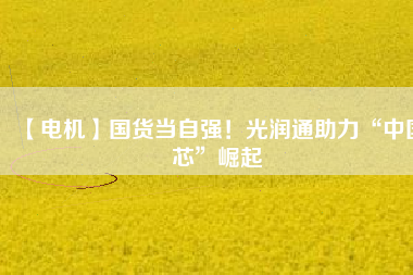 【電機(jī)】國(guó)貨當(dāng)自強(qiáng)！光潤(rùn)通助力“中國(guó)芯”崛起
          