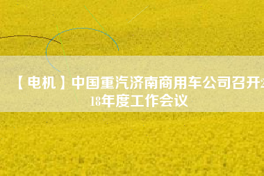 【電機(jī)】中國(guó)重汽濟(jì)南商用車公司召開(kāi)2018年度工作會(huì)議
          