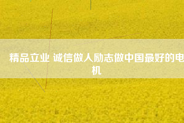 精品立業(yè) 誠信做人勵(lì)志做中國最好的電機(jī)
          