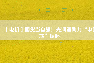 【電機(jī)】國(guó)貨當(dāng)自強(qiáng)！光潤(rùn)通助力“中國(guó)芯”崛起
          